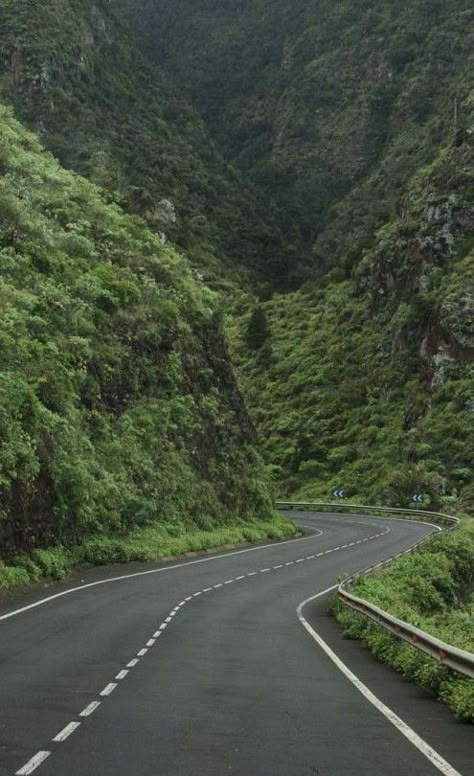 Designer Art, Hill Station, Stockholm Sweden, Stockholm, Sweden, Road, Green