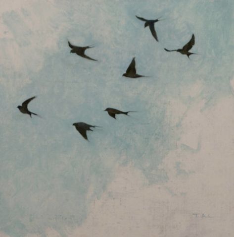 Swallow Studies, oil on linen, 12 x 12 in. Bird Illustrations, Tim Allen, Birds In The Sky, Watercolor Card, Country Boy, Flying Birds, Beautiful Painting, Swallows, Aesthetic Painting