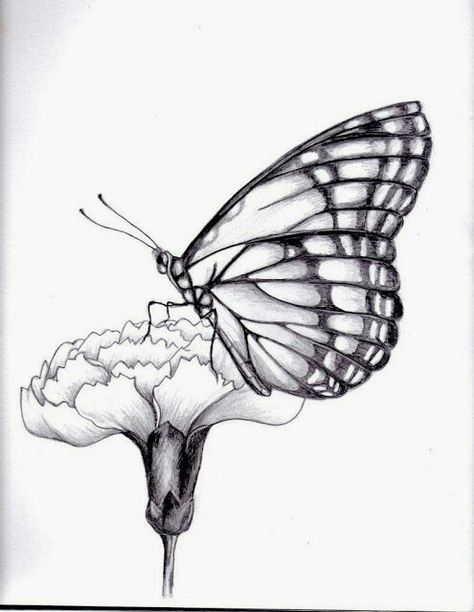 Nice. Easy Butterfly Drawing, Butterfly On Flower, Butterfly Sketch, Art Papillon, Flower Step By Step, Drawing Hands, Flower Drawing Tutorials, Drawing Tutorials For Beginners, Flower Sketches