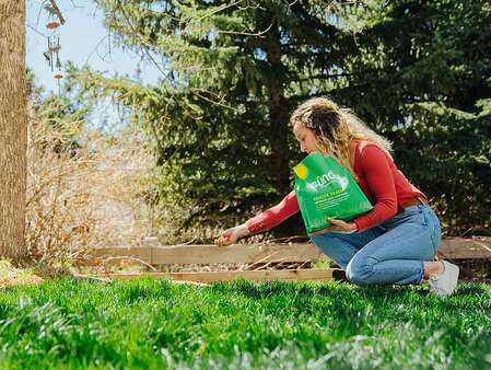 best-lawn-fertilizers-tout Fall Fertilizer For Lawn, Homemade Lawn Fertilizer, Lawn Fertilizer Diy, When To Fertilize Lawn, Organic Lawn Fertilizer, Grass Fertilizer, Dethatching Lawn, Fall Lawn, Lawn Food