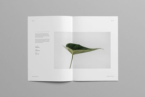 Minimal Book, Minimal Portfolio, Brochure Design Layout, Portfolio Covers, Portfolio Brochures, Brochure Layout, Publication Design, Unique Layout, Portfolio Templates