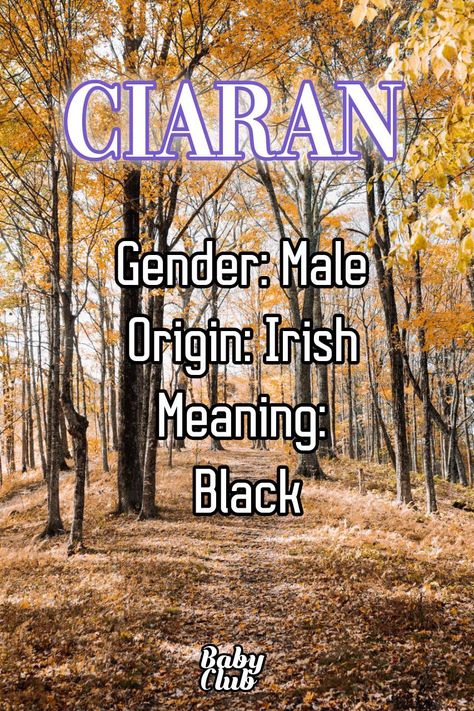 Ciaran
Gender: Male
Origin: Irish
Meaning: Black Fantasy Names, Baby Club, Name Meaning, Black Babies, Baby Boy Names, Names With Meaning, Boy Names, Baby Names, More Information