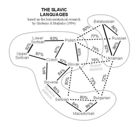 Look at how close they are! Linguistics Study, Folklore Creatures, Language Map, Polish Folklore, Russian Language Lessons, Wayne State University, Routine Life, Language Families, Wayne State