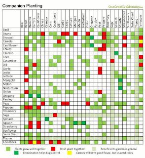 Companion Planting Chart Companion Gardening Chart, Cilantro Corn, Planting Chart, Companion Planting Chart, Companion Planting Vegetables, Gardening For Dummies, Companion Gardening, Garden Companion Planting, Vegetable Garden Planner