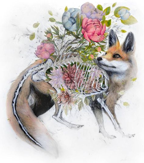 Fantastic anatomical drawings of flora & fauna depict death & renewal | TreeHugger Nunzio Paci, Flora And Fauna Art, Gcse Art Ideas, Gcse Art Exam, Floral And Fauna, Art A Level, Fox Drawing, Gcse Art Sketchbook, Art Final