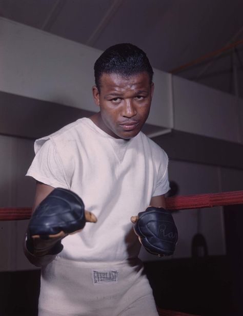 How did the basic white tee become the coolest thing in our wardrobes? Sugar Ray Robinson, American Boxer, Muhammed Ali, Boxing History, Professional Boxer, Basic White Tee, Boxing Champions, Sports Hero, Sports Figures