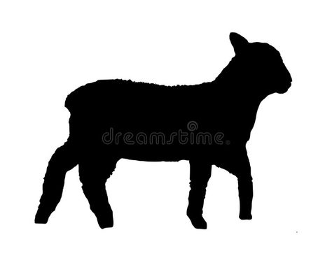 4h Cookies, Lamb Silhouette, Lamb Stock, 4h Fair, Sheep Pictures, Sheep Silhouette, Animal Vet, Large Animal Vet, Chicken Crafts