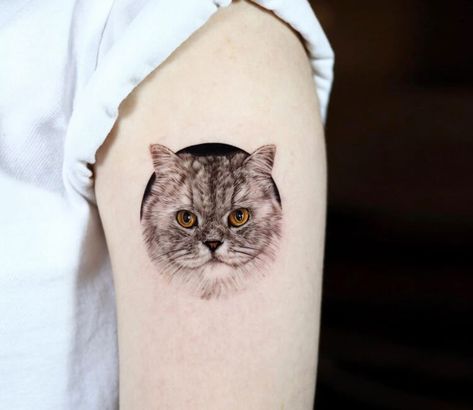 Tattoo photo - Persian Chinchilla tattoo by Tattooist Yeono Chinchilla Tattoo, Tattoo Pricing, Persian Chinchilla, Short Quote Tattoos, Colored Tattoo, Tattoo World, Aztec Tattoo Designs, Comic Tattoo, Bear Tattoos