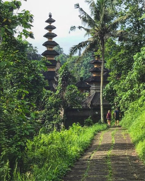 Campuhan Ridge Walk (Ubud) - All You Need to Know Before You Go (with Photos) - TripAdvisor Campuhan Ridge Walk, Ancient Buildings, East Asia, Ubud, Why People, Southeast Asia, Trip Advisor, Bali, Need To Know