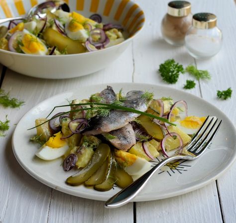 Hot Pickled Herrings and a Dill Pickle Potato Salad Recipe | Lavender and Lovage  #herring  #fish  #pickled_herring Dill Pickle Potato Salad Recipe, Pickled Herring Recipe, Dill Pickle Potato Salad, Pickle Potato Salad, Herring Recipes, Potato Salad Dill, Potato Salad Recipe, Potatoe Salad Recipe, Dill Pickle