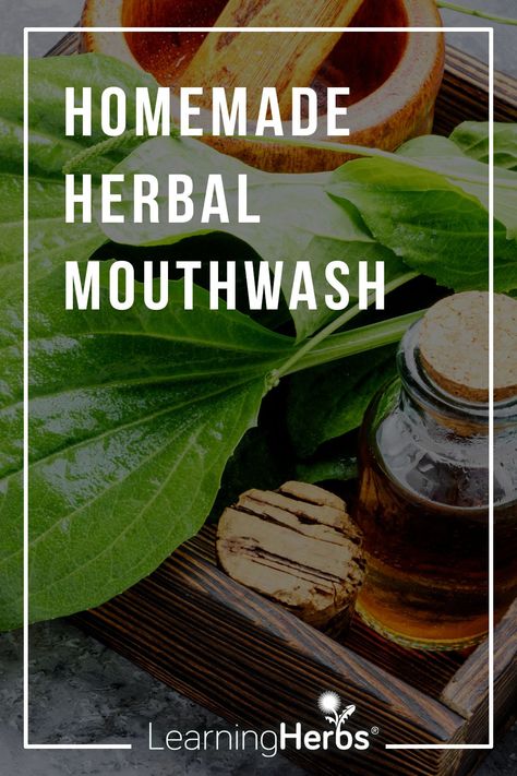 Holistic Dental Health and Homemade Mouthwash Homemade Mouthwash, Dental Floss Picks, Dental Cavities, Herbal Recipes, Herbs For Health, Oral Health Care, Tooth Decay, Healthy Teeth, Mouthwash