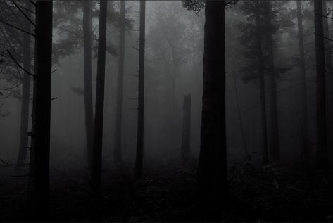 Creepy Forest Aesthetic, Dark Forest Background, Keyboard Background, Eerie Places, Scary Backgrounds, Scary Wallpaper, Forest Background, Strange Places, Africa Art