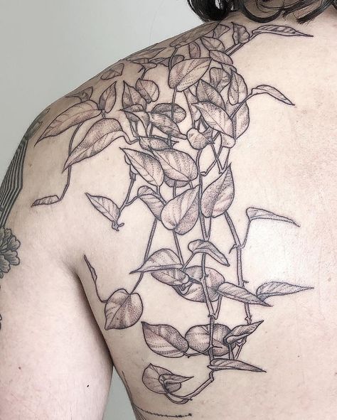 Philodendron and pothos vines by @evedoestattoos ! Vine Tattoo Drawing, Pothos Vine Tattoo, Pothos Tattoo, Arm Wrap Tattoo, Flower Vine Tattoos, Pothos Vine, Ivy Tattoo, Vine Tattoo, Flower Tattoo Ideas