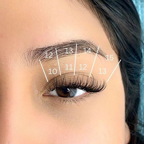 Eyelash Extension Mapping Inspo | PLA Lash Mapping Eyelash Extension Mapping, Cat Eye Lash Map, Lash Fans, Lash Map, Lash Mapping, Cat Eye Lash, Beauty Aesthetic, Lash Extension, For Lash