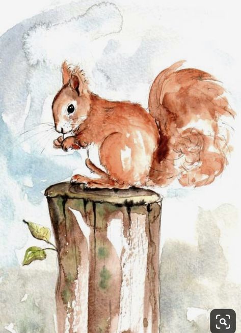 Squirrel Painting, Squirrel Art, Watercolor Paintings For Beginners, Watercolor Paintings Easy, A Squirrel, Red Squirrel, Pastel Watercolor, Watercolor Art Lessons, Watercolor Paintings Tutorials