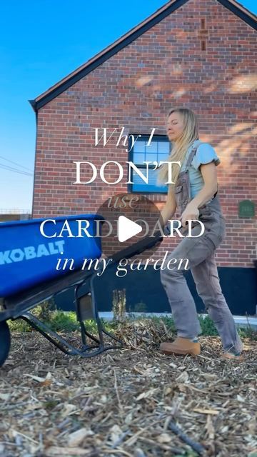 Briana Bosch on Instagram: "Cardboard use in no till gardens is ubiquitous these days as a means to smother out existing vegetation. But it is the best option? While this is ultimately up to YOU as a gardener, there are a few things to consider. 

First, let’s consider the goals of no-till gardening: namely, the effort to preserve the soil life! When we look at how cardboard functions in the no-till garden, we see that using cardboard can actually be detrimental to this goal.  This is because cardboard smothers—which is what makes it effective in killing vegetation, but ALSO in killing soil life.  Studies show that cardboard is highly oxygen impermeable—which, when coupled with the 6-8 inches of soil placed on top, results in suffocated soil life, especially aerobic soil life. 

The method No Till Gardening, Dig Gardens, Growing Greens, The Soil, Garden Beds, Soil, Green, Instagram