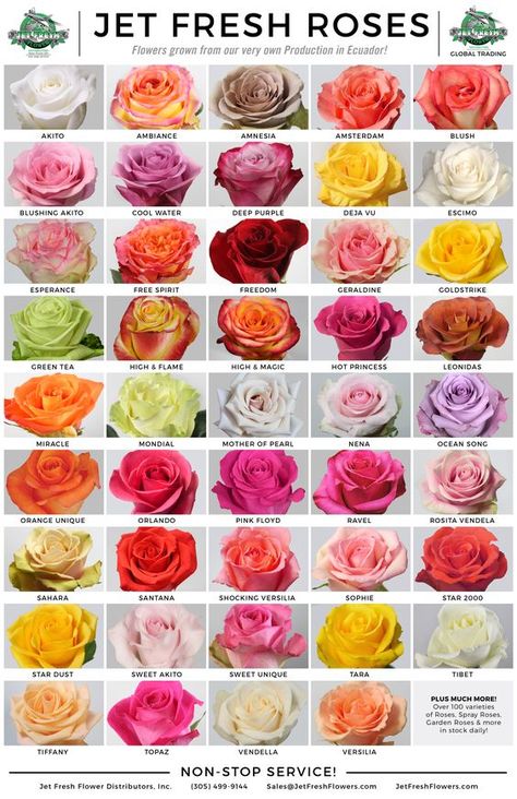 Roses Types, Rose Color Meanings, Flower Planting, Flower Pic, Rose Gardening, Flower Chart, List Of Flowers, Rose Varieties, Flower Guide