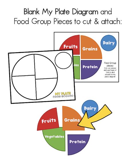 Find your balance: Summer Break is underway Plate Diagram, Pe Classroom, Portion Plate, Colorful Food, Healthy Plate, Teaching Essentials, Groups Poster, Teaching Posters, My Plate