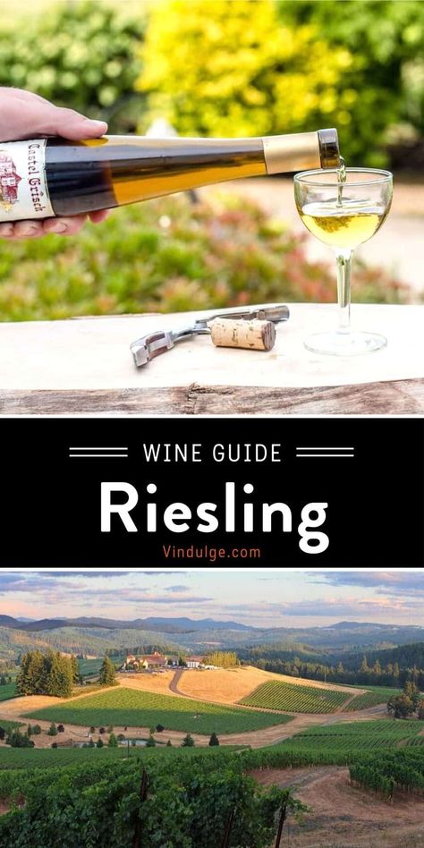 Best Rose Wine, Riesling Wine, Pool Party Food, Pairing Ideas, Wine Variety, Best Roses, Rosé Wine, Food Pairing, Wine Education