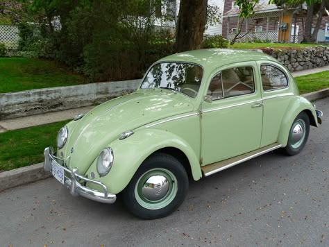 Herbie was a 1962 VW Beetle in The Love Bug Green Bug Car, Van Volkswagen, Green Bug, Green Cars, Retro Auto, Volkswagen Beetle Convertible, Bug Car, Old Vintage Cars, Beetle Car