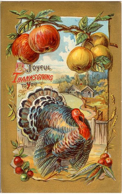 Vintage Thanksgiving Postcard Vintage Thanksgiving Greeting Cards, Vintage Thanksgiving Greetings, Vintage Thanksgiving Cards, Thanksgiving Vintage, Happy Thanksgiving Turkey, Vintage Holiday Cards, Thanksgiving Blessings, Thanksgiving Pictures, Thanksgiving Greeting Cards