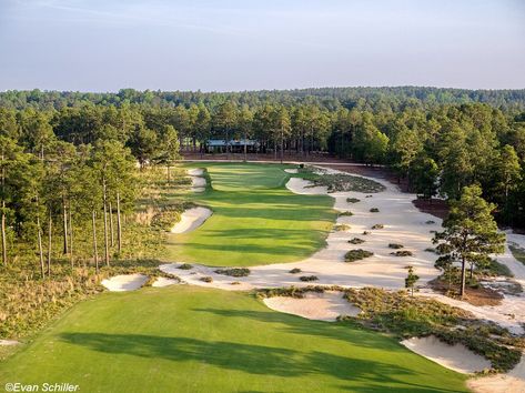 Pinehurst Golf, Golf Pictures, Golf Design, Garden Landscaping, Golf Courses, Golf