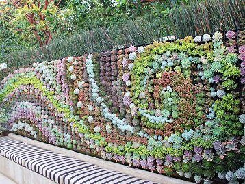 Wall Planter Ideas, Living Wall Design, Living Plant Wall, Garden Landscaping Design, Succulent Outdoor, Succulent Wall Garden, Plant Walls, Succulent Wall Planter, Moss Walls