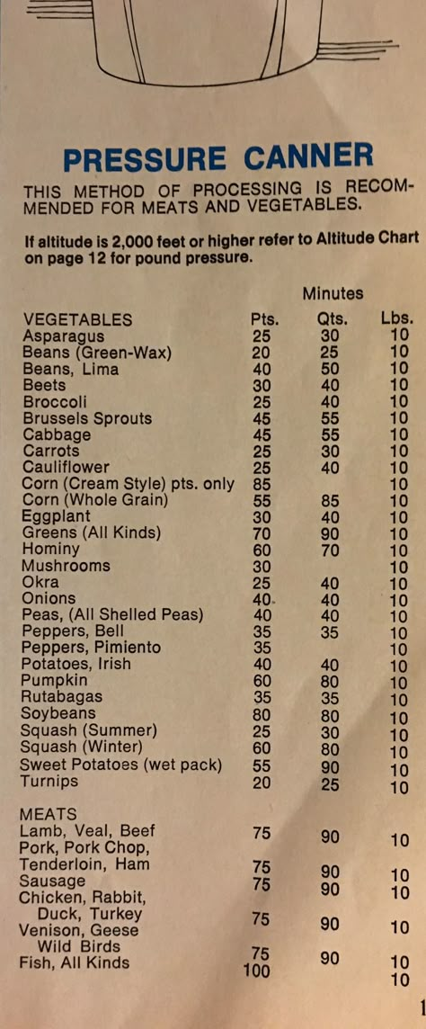 Canning Chart, Garden Canning, Diy Canning, Preserving Foods, Pressure Canning Recipes, Canning Process, Canning Kitchen, Canning 101, Canning Fruit