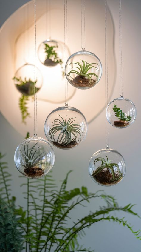 Bring in an airy, modern vibe with hanging glass planters. Ideal for small spaces and minimalist decor. Tap to explore more ideas! Hanging Plants With Lights, Indoor Gardening Ideas, Hanging Glass Planters, Minimalist Ideas, Plant Store, Glass Planter, Indoor Gardening, Modern Vibe, Hanging Planters