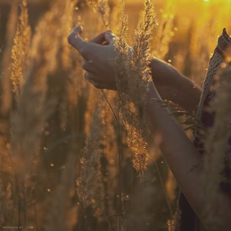 Apollo's Cabin, Hufflepuff Aesthetic, Yennefer Of Vengerberg, Hogwarts Aesthetic, Gold Aesthetic, Orange Aesthetic, Hogwarts Houses, Shooting Photo, Yellow Aesthetic