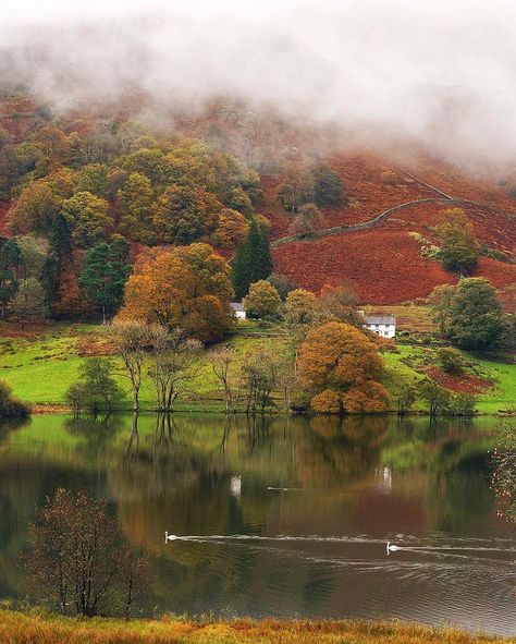 JET N. | 📍LONDON on Instagram: “🍂 . . The Lake District, 🇬🇧 . .  #uk #ig_europe #ig_livorno  #igbest_shotz #nikontop #ic_landscapes #ig_captures  #ic_skies #capture_today…” England Countryside, Lake District England, Autumn Lake, Places In Europe, Natural Scenery, Beautiful Lakes, Nature Aesthetic, Lake District, Autumn Trees