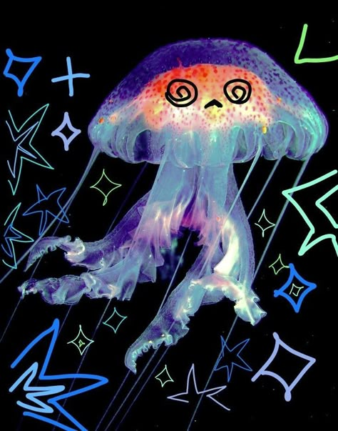 Jelly Fish, Blue Box, Marine Animals, Sea Animals, Marine Life, Sharks, Cute Kawaii, Sea Creatures, Jellyfish