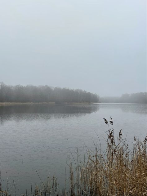 Grey Vision Board, Foggy Forest Landscape, Hunger Games Arena, Foggy Lake, Luxury Places, Lake Dock, Concept Art Design, Nature Hike, Winter Lake