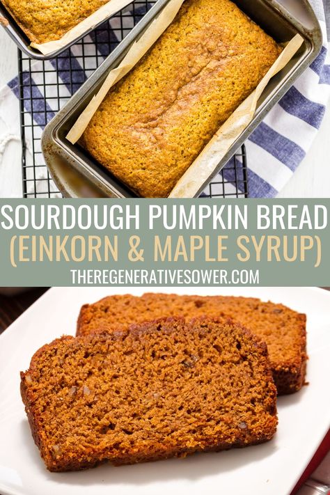 This sourdough pumpkin bread recipe is perfect for fall! It is made with simple, healthy, and nutrient dense ingredients like einkorn flour that is long fermented and maple syrup as the sweetener. Jump into autumn with this delicious recipe! #FromScratchRecipes Einkorn Pumpkin Bread, Sourdough Pumpkin Bread Recipe, Einkorn Sourdough Recipes, Einkorn Recipe, Ancient Grain Bread Recipe, Bread Recipe Sourdough, Einkorn Sourdough Bread, Sourdough Einkorn, Sourdough Pumpkin Bread