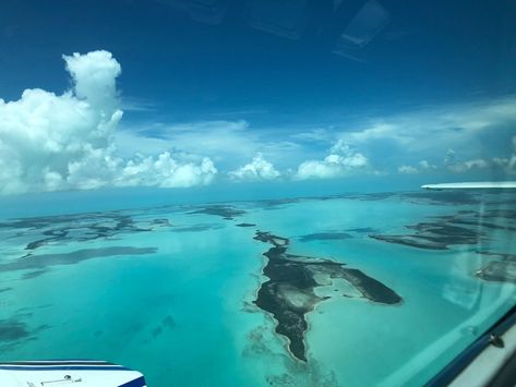 Andros Island Bahamas, Caribbean Family Vacation, Popular Honeymoon Destinations, Bahamas Beach, Art Rooms, Bahamas Vacation, Blue Hole, Honeymoon Destinations, Beach Resorts