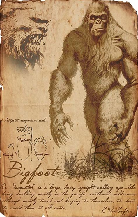 Cryptid List, Real Bigfoot Pictures, Bigfoot Drawing, Bigfoot Pictures, American Folklore, Bigfoot Art, Folklore Art, Myths & Monsters, Bigfoot Sasquatch