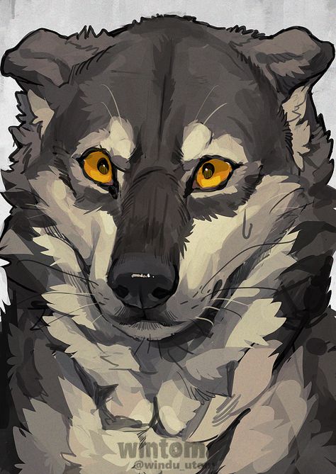 Canine Drawing, Werewolf Art, Wolf Drawing, Canine Art, Animal Anatomy, Anthro Art, Animal Reference, Animal Drawing, Animal References