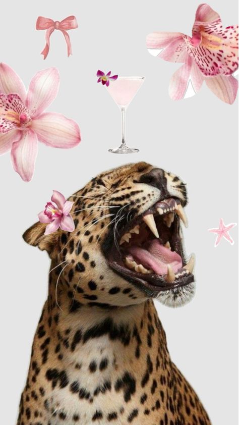 Glamour Wallpaper, Cheetah Wallpaper, Social Project, Leopard Print Wallpaper, Cheetah Print Wallpaper, Leopard Flower, Cool Facts, Jelly Wallpaper, Iconic Wallpaper