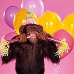 Funny Chimpanzee, Build A Bear Party, Monkey Birthday Parties, Creative Party Ideas, Monkey Birthday, Animals Birthday, Animal Birthday Party, Funny Happy Birthday