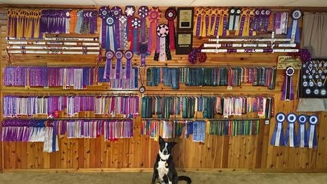 How To Hang Horse Show Ribbons, Horseshow Ribbon Display Ideas, Horse Ribbons Display Ideas, Displaying Horse Show Ribbons, Horse Show Ribbon Display Lattice, Horse Back Riding Ribbons Display, Equestrian Chic Decor, Horse Ribbon Display, Show Ribbon Display