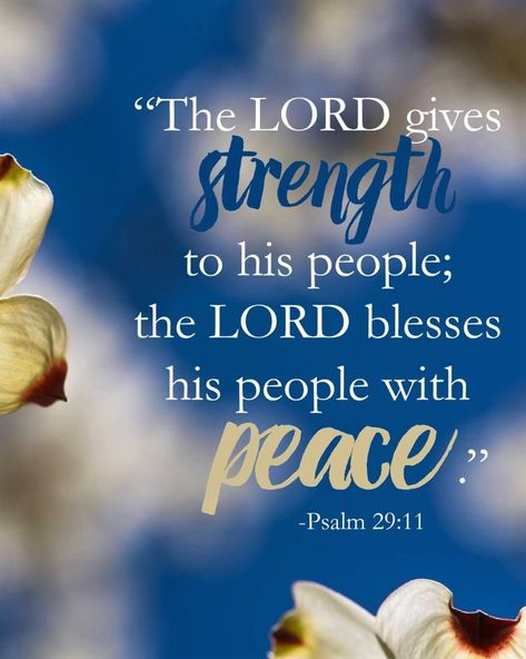 Verse of The Day: Psalm 29:11 | From Pure Chaos To Perfect Peace Psalm 29 11, Bible Verse Daily, Psalm 29, Have A Fabulous Day, Good Morning Saturday, Scripture Of The Day, Take Control Of Your Life, Perfect Peace, Christian Girl