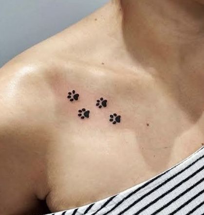 Paw Print Collar Bone Tattoo, Flounder Tattoo, Paw Tattoos For Women, Boxing Tattoos, Cat Paw Tattoos, Collarbone Tattoo, Shoulder Blade Tattoo, Pawprint Tattoo, Dog Paw Tattoo