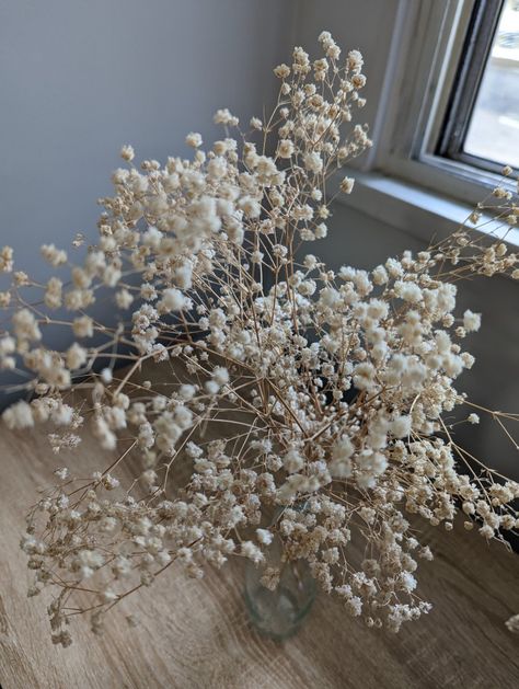 Beige flower, dryer , dried gypsophila, clear vase, home decor, aesthetic flower nature photography Dried Gypsophila, Breath Flowers, Vase Home Decor, Clear Vase, Aesthetic Flower, Room Decor Living Room, Office Home Decor, Organization Home, Home Decor Aesthetic