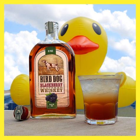 Bird Dog Whiskey Recipes, Bird Dog Whiskey, Long Island Iced Tea Recipe, Blackberry Whiskey, Iced Tea Recipe, Whiskey Recipes, Iced Tea Recipes, Long Island Iced Tea, Bird Dog