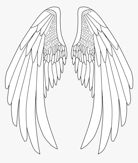 Anime Angel Wings, Drawing Angel, Angel Wings Png, Wings Sketch, Angel Wings Drawing, Wings Png, Angel Wings Art, Wing Tattoo Designs, Wings Drawing