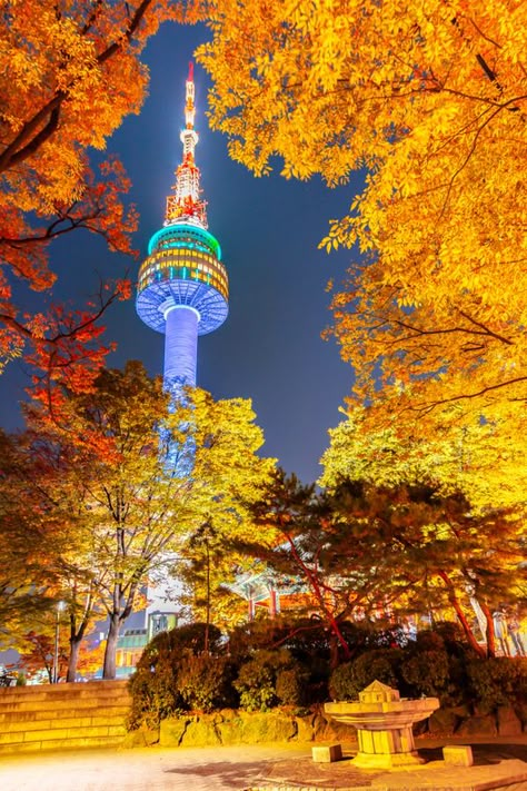 N Seoul Tower, Seoul Night, Seoul Tower, Autumn In Korea, South Korea Photography, Seoul Korea Travel, Seoul City, Korea Wallpaper, Seoul Travel