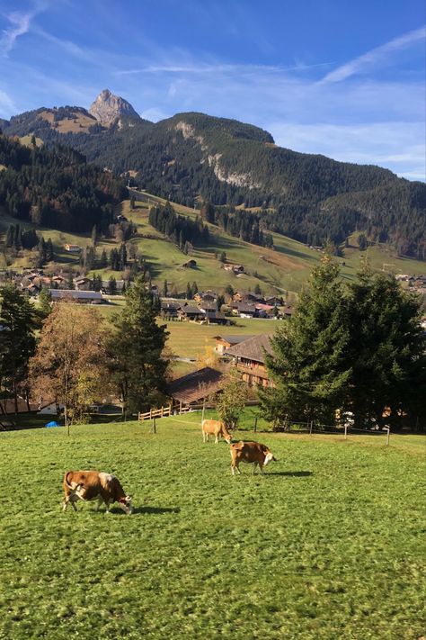 green mountains and cows Farm In Europe, Farm In The Mountains, Art Assignments, Green Mountains, Green Country, Green Pasture, Dear Future, Green Mountain, Horse Farms