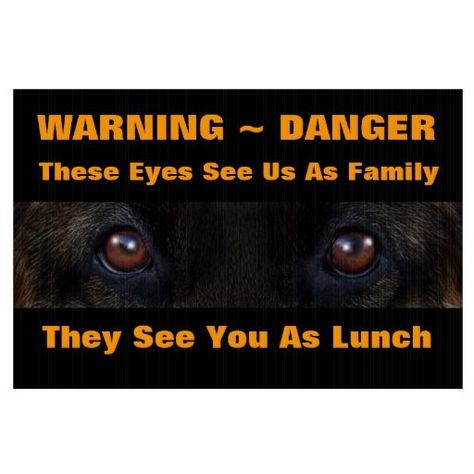 German Shepherd Signs, Gsd Funny, Ddr German Shepherd, Love Funny Quotes, Dog Warning Signs, Cute Rottweiler, Beware Of The Dog, Pets Pictures, Airline Pet Carrier