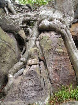 MyWay Biological Weathering, Photographer Flyers, Chemical Weathering, Science Literacy, Sussex England, The Arch, Best Picture, Rock Formations, East Sussex