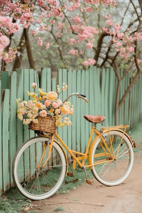 Pretty Bicycle, Bicycle With Flowers, Bicycle Pictures, Highland Cow Painting, Life Drawing Reference, Islamic Wallpaper Iphone, Bicycle Painting, Beautiful Flowers Photos, Beautiful Bike